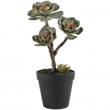 Chunky Faux Succulent in Pot by Grand Illusions